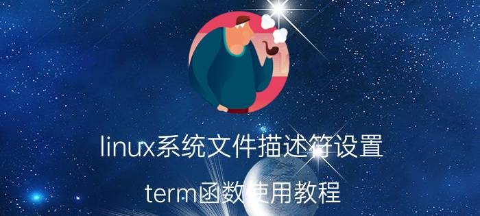 linux系统文件描述符设置 term函数使用教程？